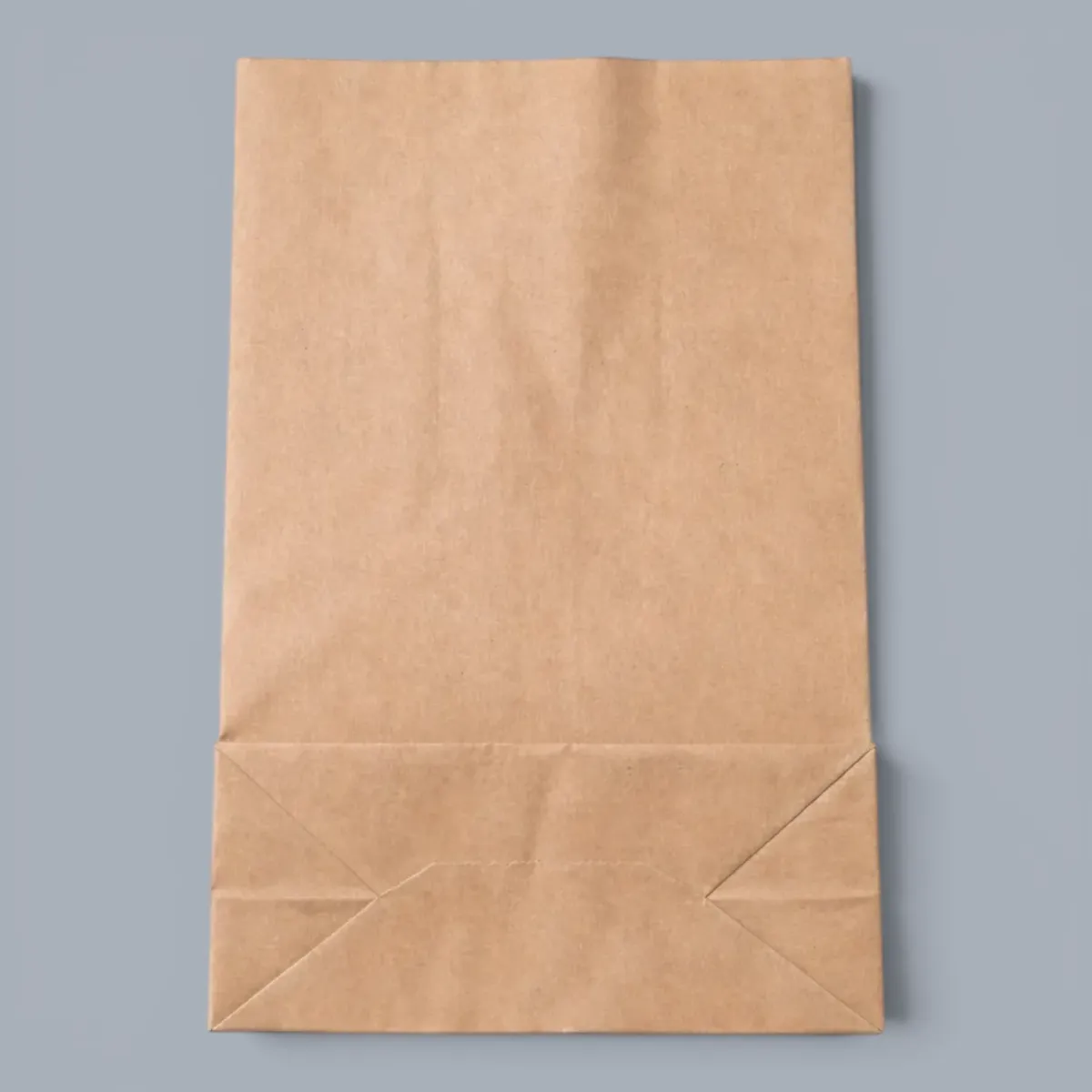 Bag Paper (#08)