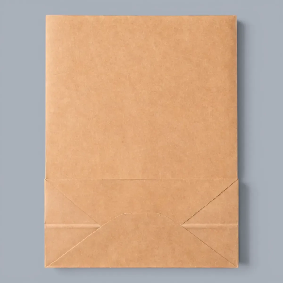 Bag Paper (525)