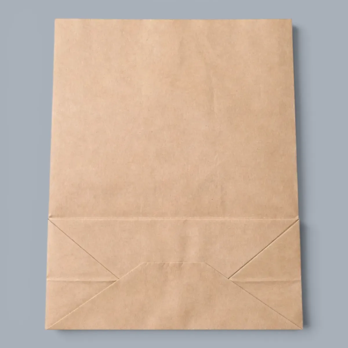 Bag Paper (606)