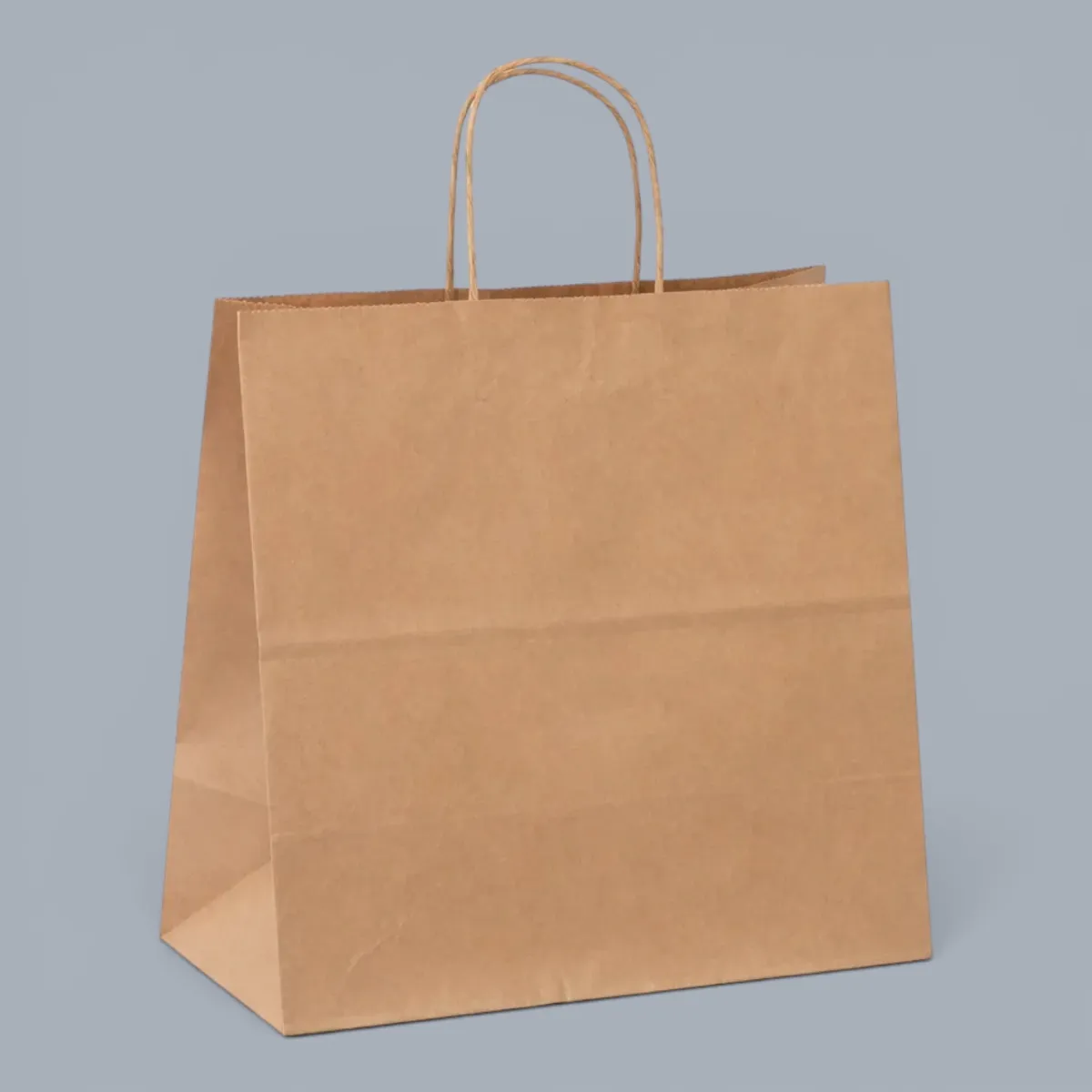 Bag Paper w/ Handle (L)