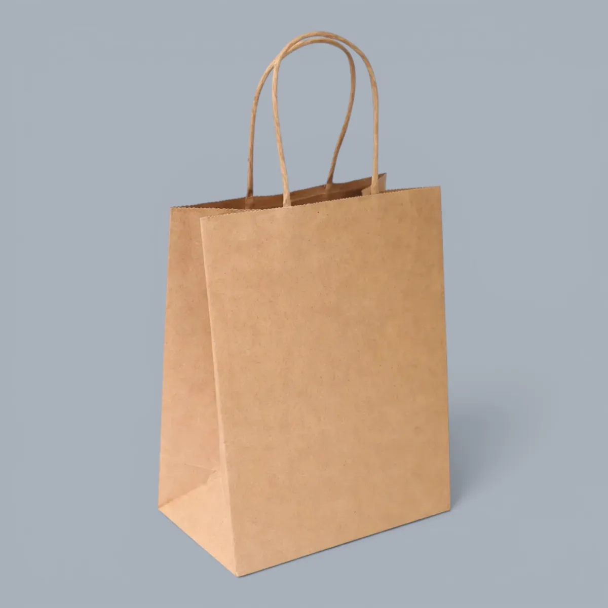 Bag Paper w/ Handle (M)
