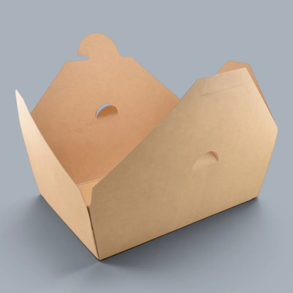 Kraft Box #3 (L)