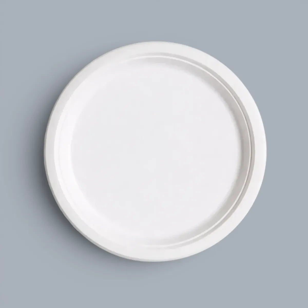 Plate 10"